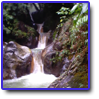 Canyon en guadeloupe