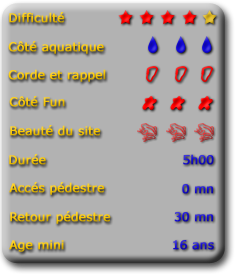 fiche tech canyon morgh&eacute;