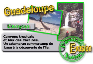 Canyon en guadeloupe