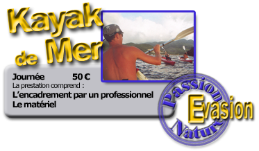 Kayak de mer Kayak de mer