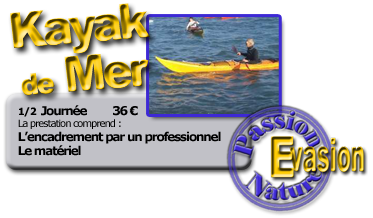 Kayak de mer Kayak de mer